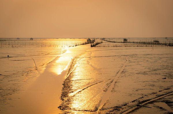 Peut-on trouver une maison de vacances en Bretagne avec des cours de navigation et des ateliers de cuisine?