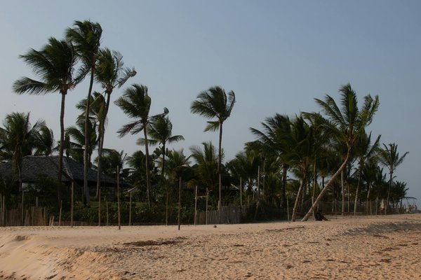 Quels sont les meilleurs circuits pour découvrir les vignobles de la Rioja, Espagne?
